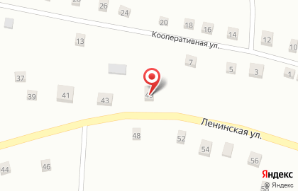 Магазин Пиво Сибири на Ленинской улице на карте