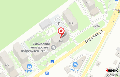 Аптека Бердская на Боровой улице на карте