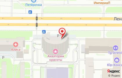 Шиповник в Московском районе на карте