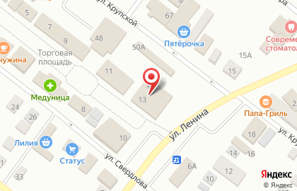 Пункт выдачи магазина электроники и бытовой техники Позитроника на улице Ленина в Саракташе на карте