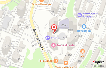 Студия красоты Beauty Secret на Виноградной улице на карте