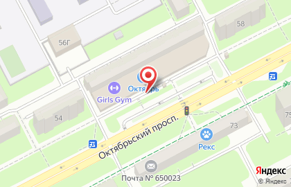 Система аптек Эдельвейс на Октябрьском проспекте, 56 на карте