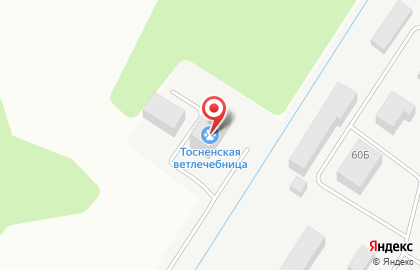Государственная ветеринарная станция СББЖ Кировского и Тосненского районов на карте