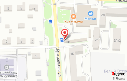 Кафе Шашлыгумия на Центральной улице на карте