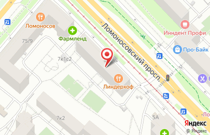 Сервисный центр ЭЛЬБОР на Ломоносовском проспекте на карте