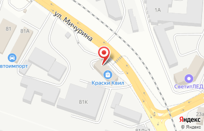 Завод Краски КВИЛ на улице Мичурина на карте