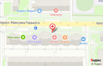 Терра на проспекте Максима Горького на карте