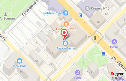 Салон Нежный зверь на улице Ленина на карте