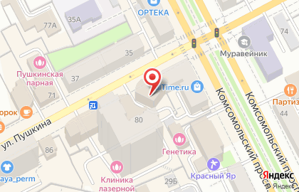 3D диагностика на улице Пушкина на карте