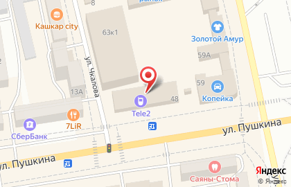 А-Альфа Клининг на улице Пушкина на карте