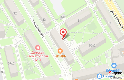 Овощной двор на улице Шевченко на карте