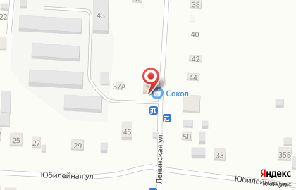 Магазин, ООО Сокол на карте