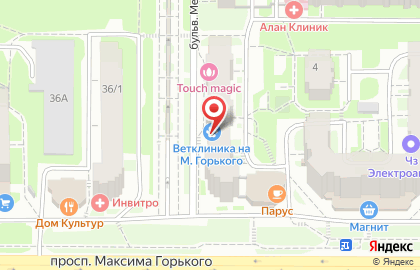 Ветеринарная клиника на М.Горького на карте