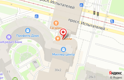 Единый центр документов, ООО на проспекте Испытателей на карте