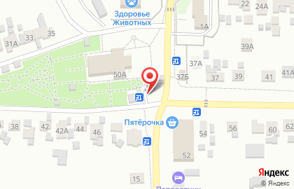 Цветочная лавка Жасмин на улице Ленина на карте