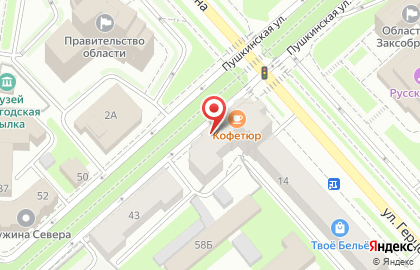 Банкомат Русский Стандарт на Пушкинской улице на карте