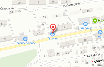 Продовольственный магазин Гурман на улице Мичурина на карте