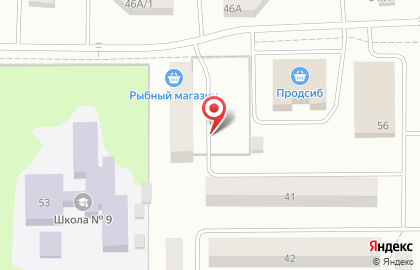 Студия красоты Светлана в Новосибирске на карте
