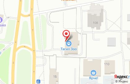 Зоосалон Тагил Зоо на карте