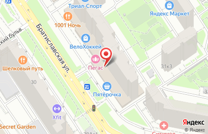 Социальные Аптеки, ЗАО на Братиславской на карте