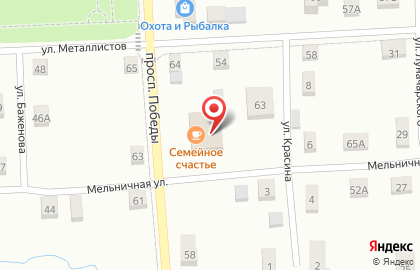 Проект-плюс на Мельничной улице на карте