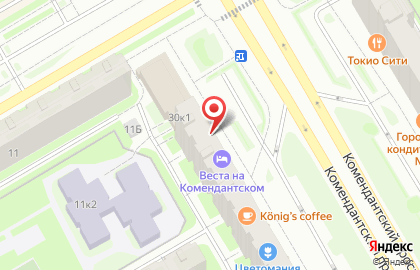 Центр развития бизнеса Сбербанк на метро Комендантский проспект на карте