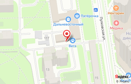 Биолайф Экспресс на Пулковской улице на карте