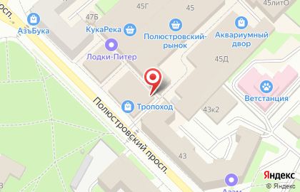 Магазин хозяйственных товаров и посуды 1000 мелочей на Полюстровском проспекте на карте