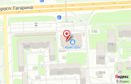 Киоск по продаже рыбы на проспекте Гагарина на карте