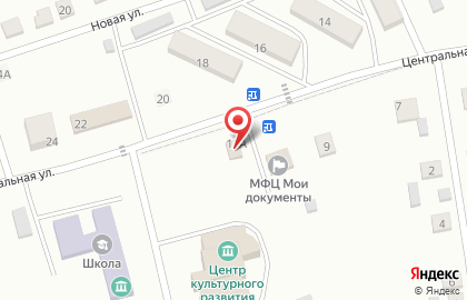 Продуктовый магазин на Центральной улице на карте