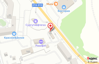 Автомойка самообслуживания Слон в Светлогорске на карте