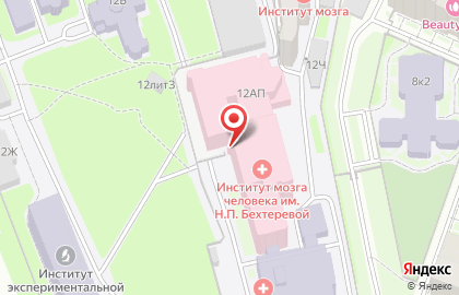 Институт мозга человека им Н.П. Бехтеревой РАН на улице Академика Павлова, 12а на карте