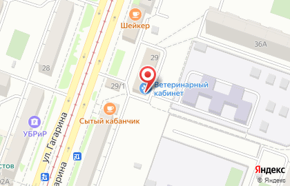 Соня на улице Гагарина на карте