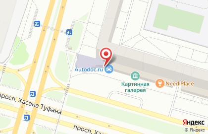Магазин автозапчастей Аutodoc в Набережных Челнах на карте