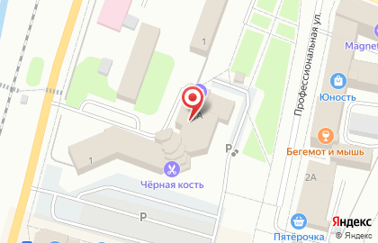 Дмитровское Архитектурно-планировочное Бюро му на карте