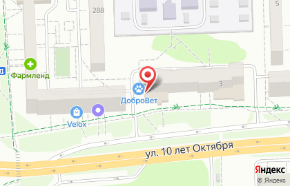 Ветеринарная клиника ДоброВет на улице 10 лет Октября на карте