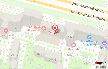 ООО Ареопаг на Богатырском проспекте на карте