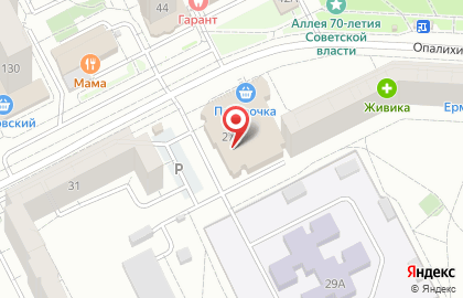 Топтыжкин в Верх-Исетском районе на карте
