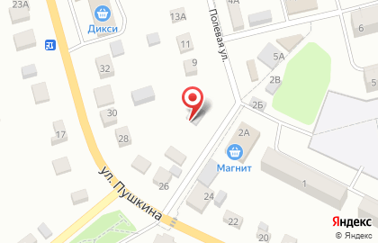 Продуктовый магазин на улице Пушкина на карте