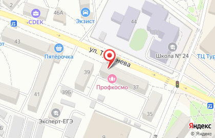 Магазин автозапчастей Autodoc.ru на улице Тургенева на карте