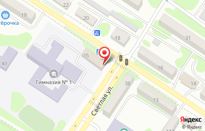 Зоомагазин Любимчик на Станционной улице на карте