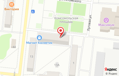 Магазин хозяйственных товаров на Луговой улице на карте