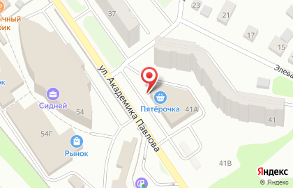 Супермаркет Пятёрочка на улице Академика Павлова на карте