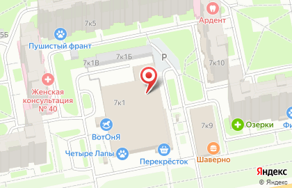 Мобил Элемент на Богатырском проспекте на карте