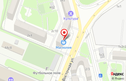 Центр Права Лда на Восточной улице на карте