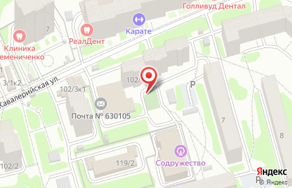 Чистый мир на Красном проспекте на карте