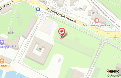 Банкомат Банк ВТБ24 на Курортном проспекте, 85 на карте
