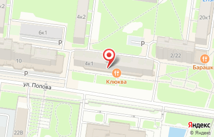 Blonder Beer на улице Попова на карте