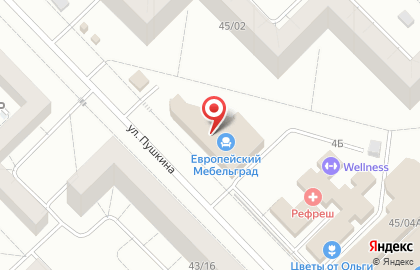 Магазин ортопедических матрасов и товаров для сна Askona на улице Пушкина на карте