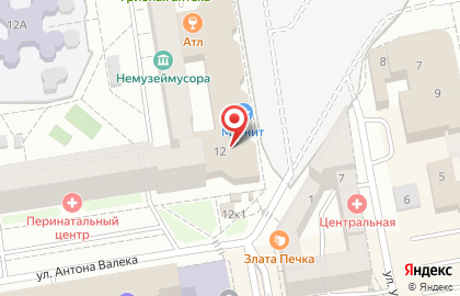 Туристическая компания VISTA на улице Антона Валека на карте